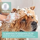 AniForte Fellharmonie Conditioner für Hunde 200ml - Sensitiv Spülung für Langhaar & Kurzhaar, Fellpflege & Schutz mit Aloe Vera, Anti Filz, ohne Parfum