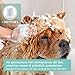 AniForte Fellharmonie Conditioner für Hunde 200ml - Sensitiv Spülung für Langhaar & Kurzhaar, Fellpflege & Schutz mit Aloe Vera, Anti Filz, ohne Parfum