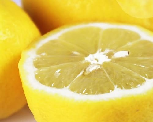 [先行予約]秀品 紀州有田産レモン 2.5kg[UT45]