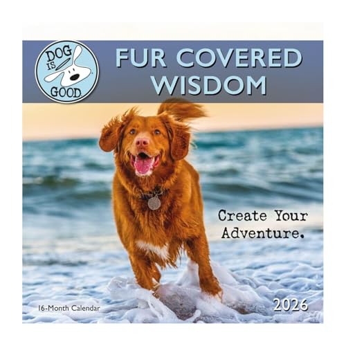 Carousel Calendars, Dog is Good Fur Wisdom 2026 Wall Calendar, 12'' X 12'', 16-Month Calendar with Stapled Binding