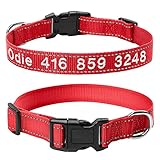 Amidaky Personalized Dog Collars,Nylon Reflective Dog Collar Custom Name and Phone and Leashes,11 Co