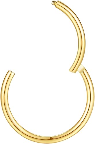 Miniatura 6 de Aros nasales hipoalergénicos de acero quirúrgico 316L de 20 g, 18 g, 16 g, 14 g, 12 g, 10 g y 8 g, joyería para tabique con segmento de bisagra