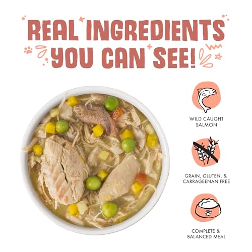 Weruva Classic Dog Food, Jammin' Salmon with Chicken & Salmon in Gravy, 5.5oz Can (Pack of 24) - Thumbnail 3