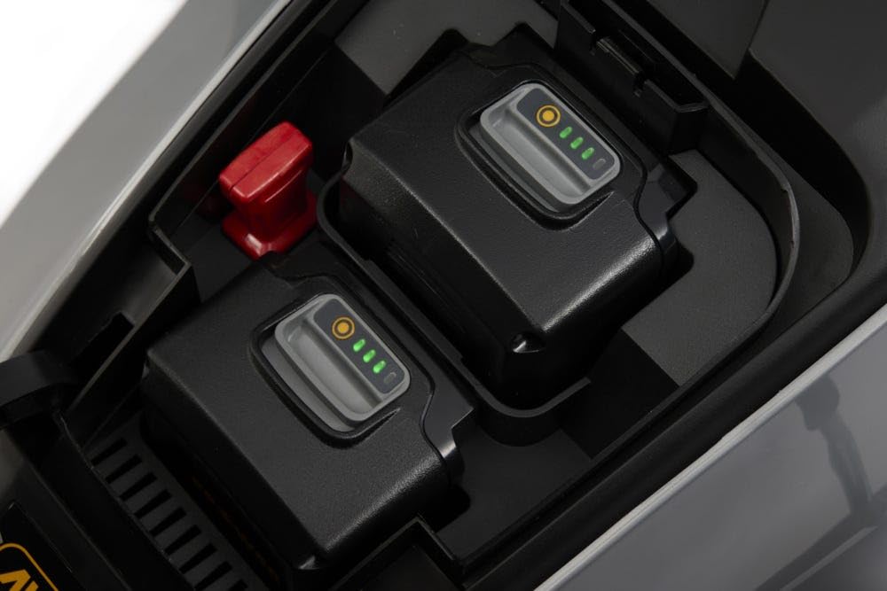 Alpina AL 3820 Li Kit Tagliaerba A Batteria, 2 Batt. 4 Ah + Caric., 38 Cm – Sacco 40 L, Regolaz. Central. 6 Posiz. – Ideale Per Giardini Compatti