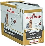 Royal Canin Nassfutter für ausgewachsene Yorkshire Terrier, 24 Packungen à 85 g, ideal für Terrier, ausgewachsene Hunde ab 10 Monaten, 6 cm Trixie Gummiball Spielzeug mit Wurfgriff