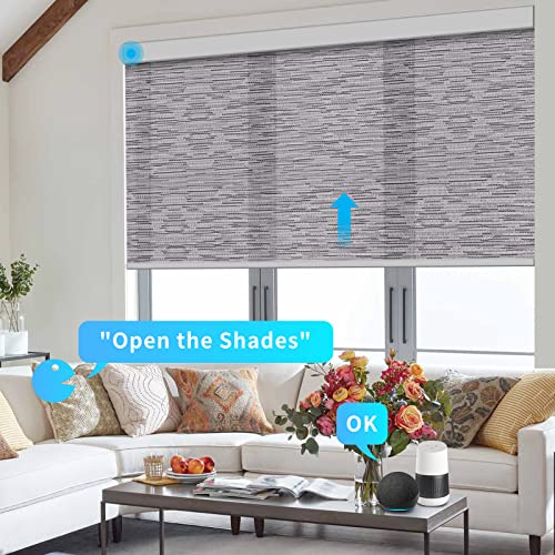 Hiladuo Motorized Roller Blinds Customized Size Width 20-105 Inches Window Roller Shades Aluminum Valance Style Rechargeable Roller Shades With Built-In Zigbee Battery Motor For Home Office Hotel #TOP1
