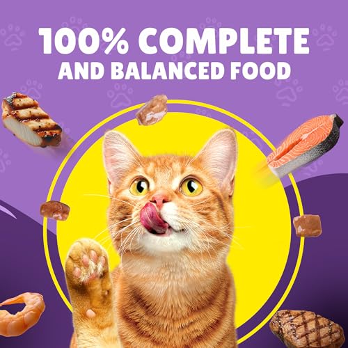 Purina Friskies Beef Chunks in Gravy Wet Cat Food, 85g