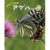 ドラえもんバトルドームは出ないけどポケモンの名前だけでアゲハ蝶歌ってみた ニコニコ動画 ドラえもんバトルドームは出ないけどポケモンの名前だけでアゲハ蝶歌ってみた ニコニコ動画