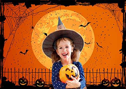 Cylyh 7X5Ft Happy Halloween Orange Backdrop Halloween Eve Backdrophalloween Party Lantern Moon Bat Spider Web Graveyard Fence Photography Background Party Decorations Wsj-505 #TOP5