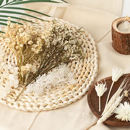LAUMOE Getrocknete Blumen, Trockenblumen zum Basteln Mini Trockenblumen Set für DIY Epoxidharz Scrapbook Zubehör Handgemachte Heimdekoration Hochzeit (Weiß)