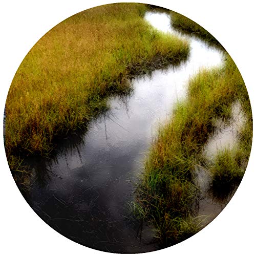 Handmade 4 inch round HHI Hilton Head Vinyl Bumper Sticker