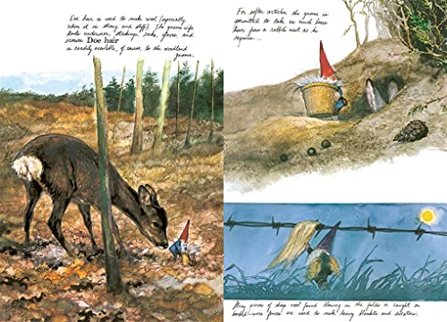 Gnomes originaux à offrir pour pendaison de crémaillère et fête - 7