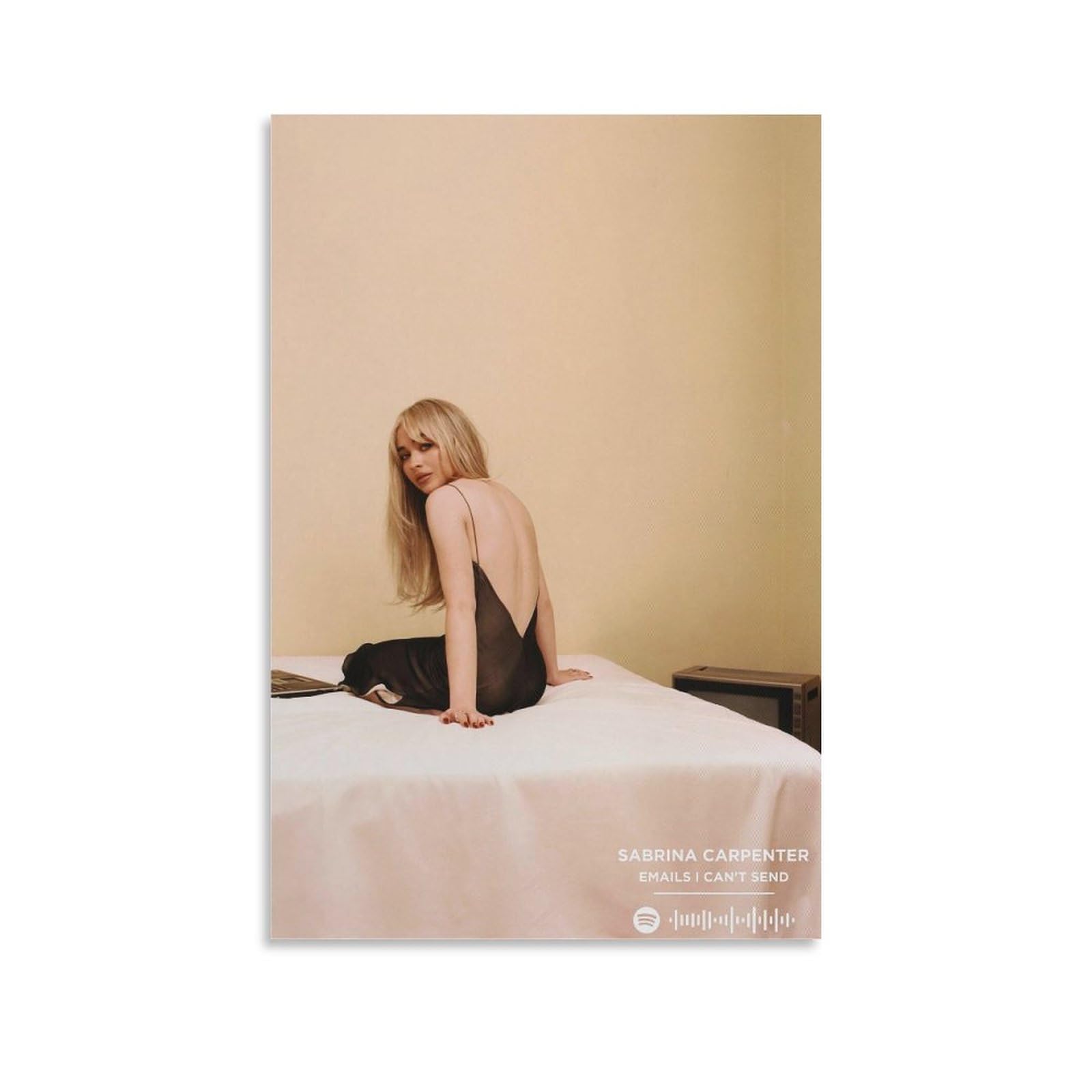 DAXXIN Sabrina Carpenter - Emails I Can't Send Music Album Cover Poster (2) Canvas Poster Bedroom Decoration Landscape Office Valentine's Birthday Gift Unframe-style12x18inch(30x45cm)