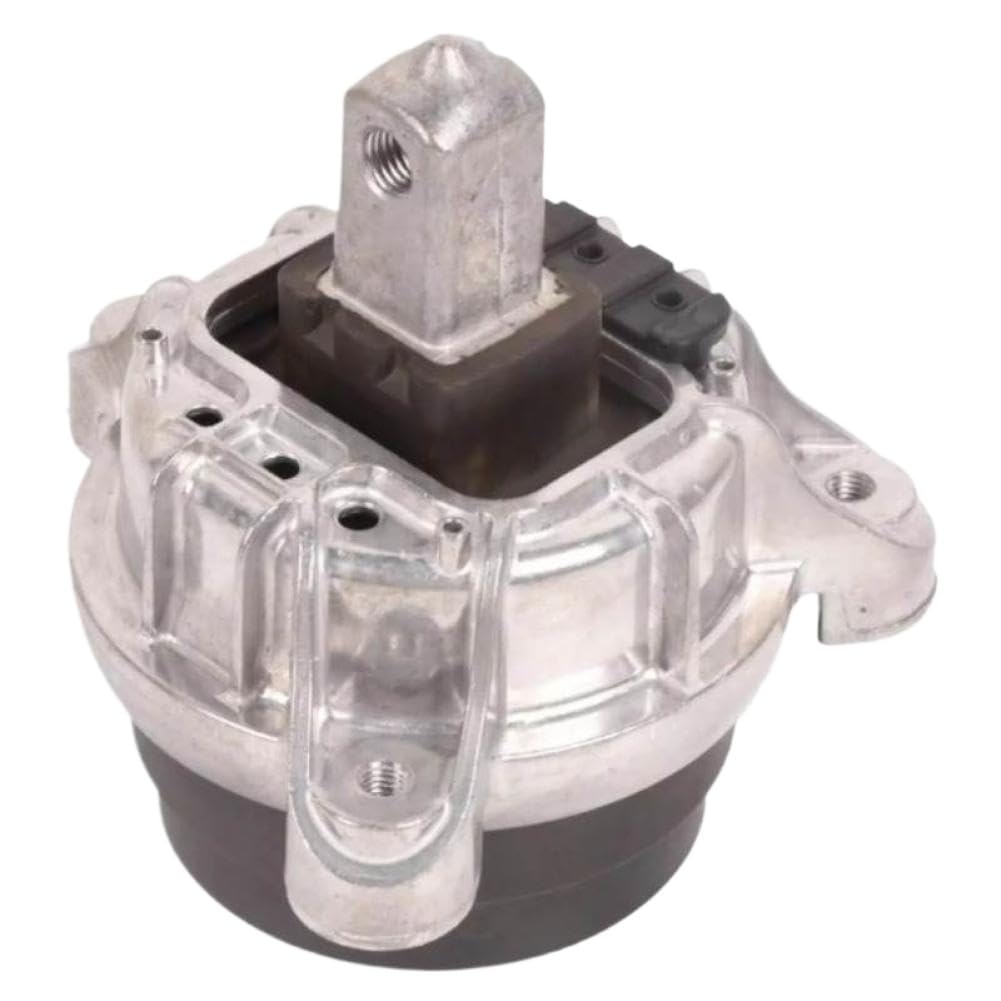 Casdsdtub Left Engine Motor Mount 22116777365 22116786528 Compatible With Bmw F07 F10 F11 F06 F12 F13 F02 528I 535I 640I 740Li 740I(Left)