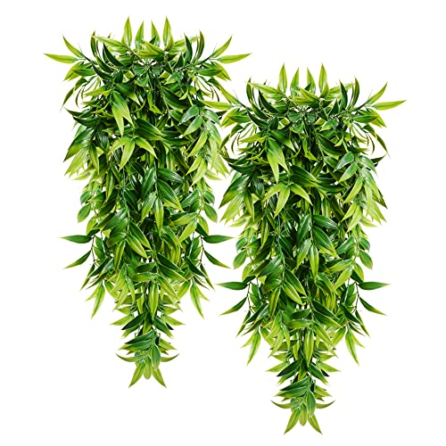 Top 10 Hanging Plants For Porch of 2022 Katynel