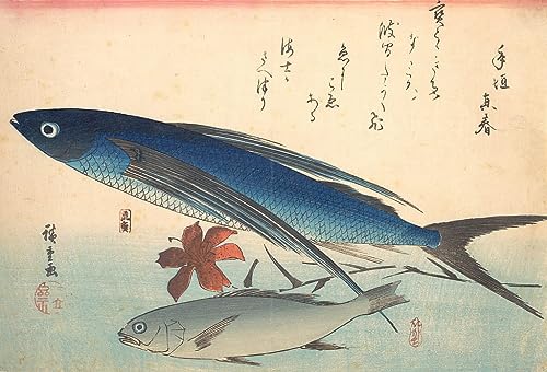 Poissons Tobiuo Hiroshige Affiche Toile Uozukushi 60x90