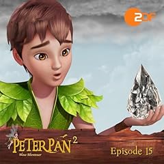 Die Froschplage. Das Original-H&ouml;rspiel zur TV-Serie Audiolibro Por Florian Bald arte de portada