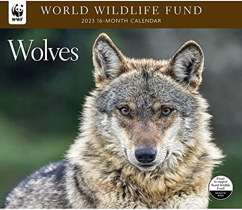 Amazon.com: Calendar Ink, Wolves WWF 2023 Wall Calendar : Office Products amazon-com-calendar-ink-wolves-wwf-2023-wall-calendar-office-products