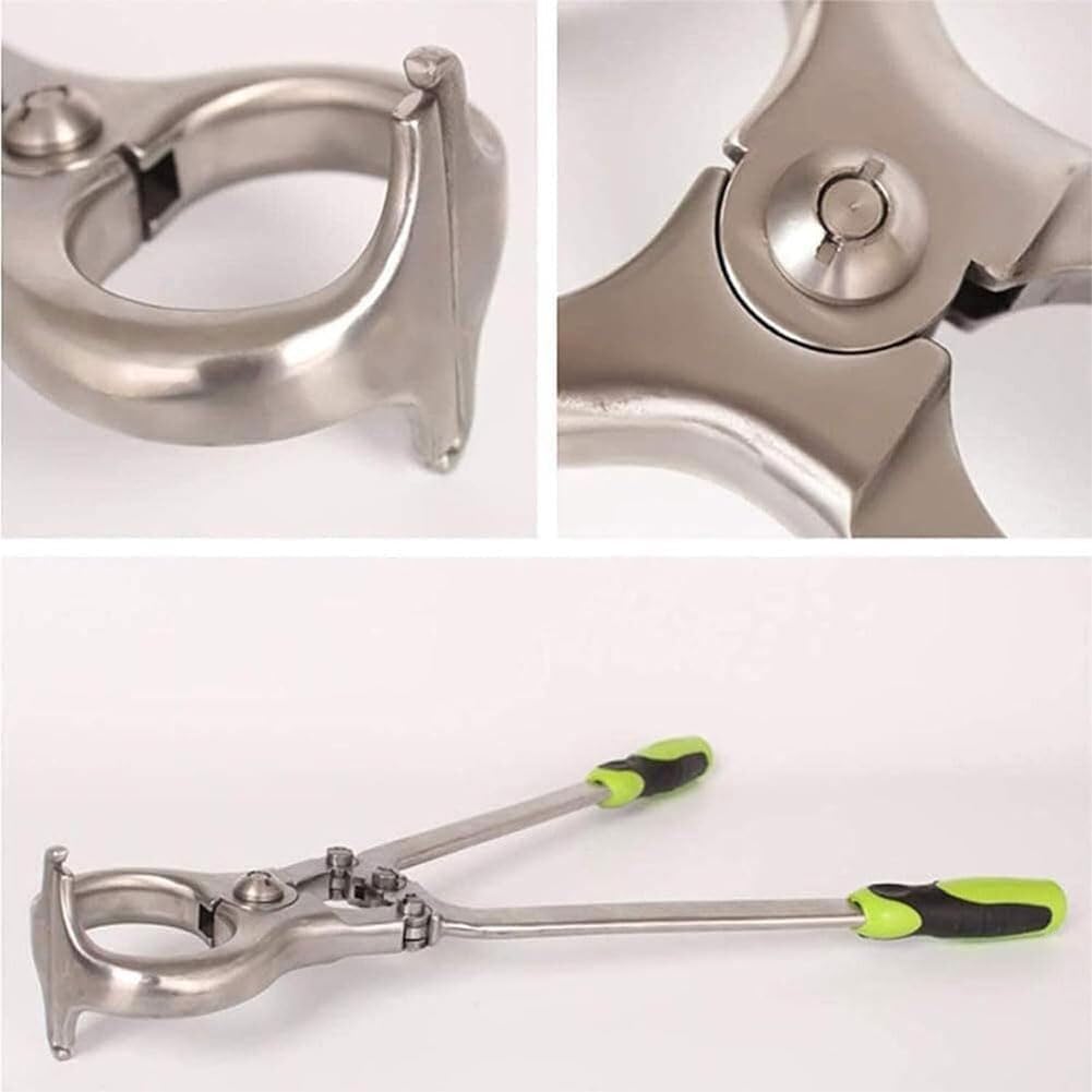 Pinze per castrazione veterinaria in acciaio inox per bestiame, strumento chirurgico senza sangue con apertura da 44 mm