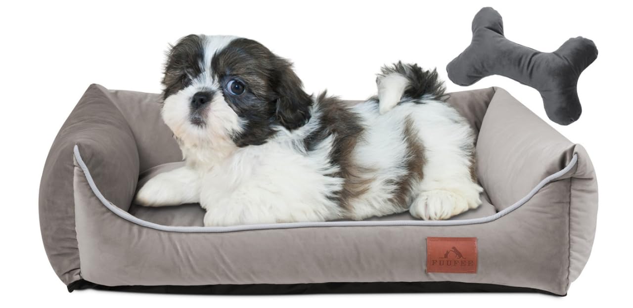 FUUFEE Lux Dog Bed | 60x40 cm | Cozy Sofa for Small Dogs | Comfortable and Washable | with Removable Cover | Perfect for Your Pet's Rest and Relaxation | Beige