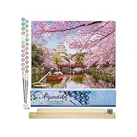Peinture Par Numéros Adulte - Cerisiers En Fleurs - Toile 20x30cm Avec Cadre - Loisir Créatif