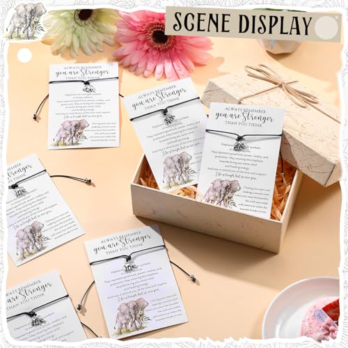 Quelay Inspirational Elephant Gift for Women Elephant Bracelets with Wish Cards Strength Bracelets Strength Gifts Stay Strong Inspirational Gifts for Coworker Teacher3