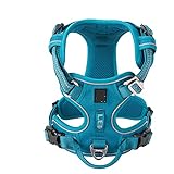  Harnais réfléchissant pour chien en nylon sans tension réglable de taille moyenne et grande - Laisse de sécurité pour la marche et la course à pied - Bleu