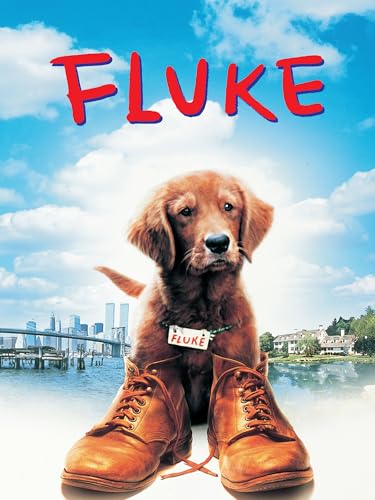  Fluke