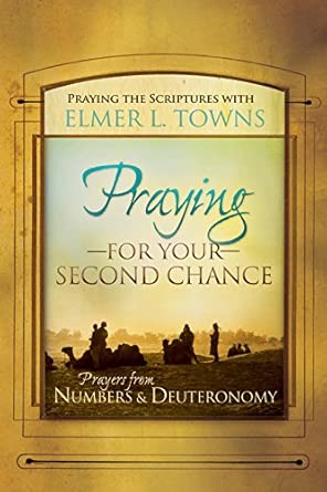 Praying For Your Second Chance: Prayers From Numbers & Deuteronomy 1: Prayers from Deuteronomy & Numbers book cover