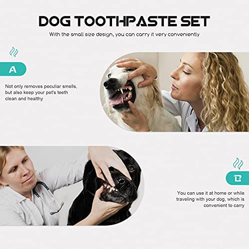 POPETPOP Kit de 2 conjuntos de pasta de dente para cães e gatos, kit de cuidados dentários com escov