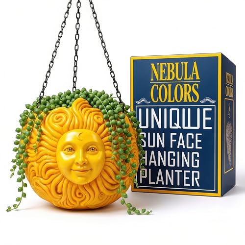 Nebula Colors Fun & Unique Sun Face Hanging Planter Quirky