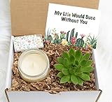 My Life Would SUCC Without You Gift Box - Thank You Gift Box - Miss You Gift - Live Succulent Gift...
