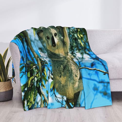 Couverture imprimé koala toutes saisons pour cocooning sur canapé - 6