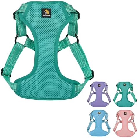 BELLA & PAL Step-in Dog Harness, Dog Harness and Leash Set for Extra Small Dogs, Breathable Soft Mesh Puppy Harness, Lightweight Adjustable Dog Harness for Extra-Small/Small/Medium Dogs, Blue, XS