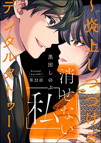 消せない「私」 ~炎上しつづけるデジタルタトゥー~(分冊版) 【第22話】 (ストーリーな女たち)