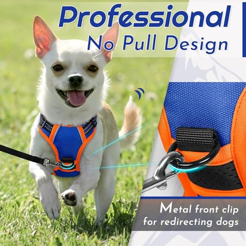 Image of Eagloo Dog Harness for Small Dogs, No Pull Pet Vest with 2 Leash Clips