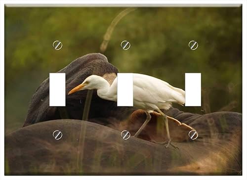 Switch Plate Triple Toggle - Birds Nature Quindio Colombia 3