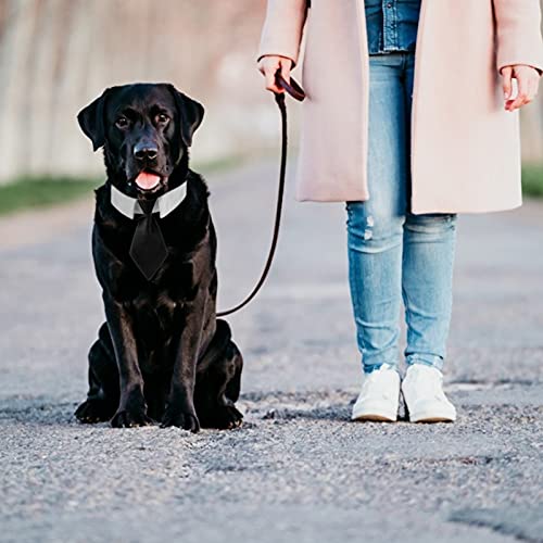 HACRAHO Hunde-Krawatte, 1 Packung Hunde-Smoking-Halsband mit schwarzer Krawatte, verstellbares Hundehalsband mit Schnellverschluss-Schnalle (L)