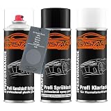 TRISTARcolor Vernice per auto Kit bombolette spray per paraurti di plastica per Austin Rover/MG/Morris/Roewe/Rover/Triumph LME Iron Oxide Grey