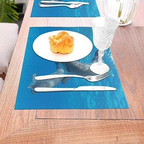 Ensemble de sets de table tissés décoratifs et durables pour une table élégante