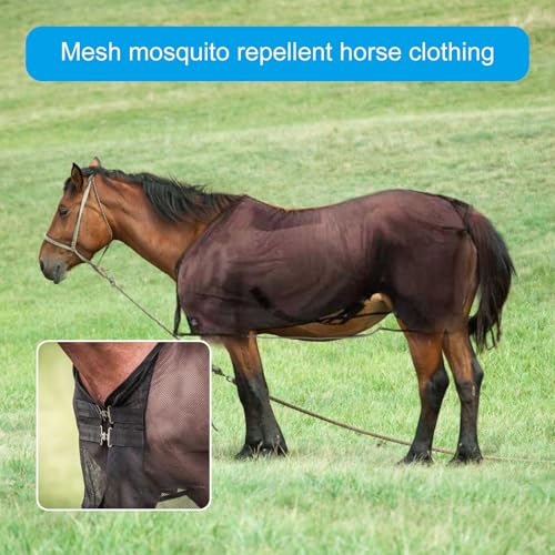 Malla de protección solar para caballo con cobertura transpirable de vientre 3
