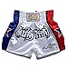 FLUORY Pantaloncini Muay Thai, MMA Pantaloncini Abbigliamento Training Cage Fighting Grappling Arti Marziali Kickboxing Pantaloncini Abbigliamento