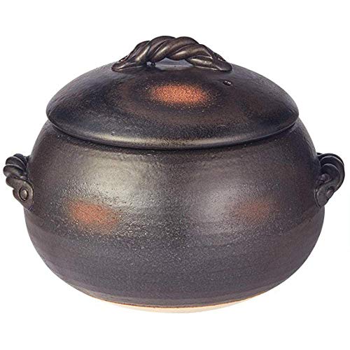 Cocotte en Terre Cuite Résistante aux Chocs Thermiques 4L