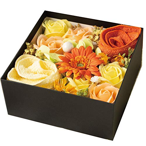 Mtg B^It[ tOX{bNX \[vt[ IׂJ[ (IW, M)