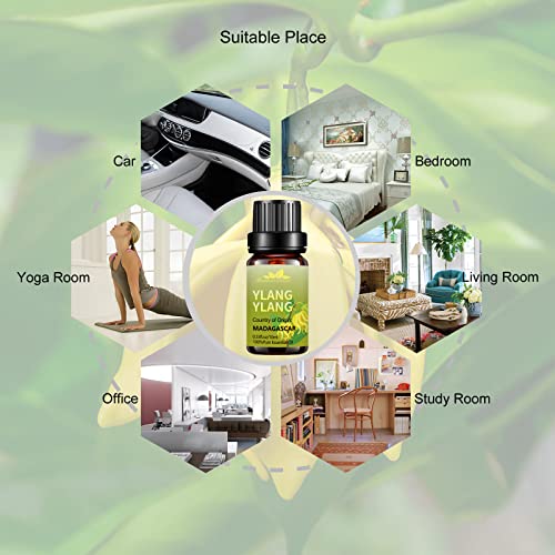 Ylang Ylang Essential Oil Mumianhua Pure Ylang Ylang Oil Therapeutic Grade Ylang Ylang Aromatherapy Oil For Skin, Hair Growth, Diffuser, Candle Making 10Ml #TOP2