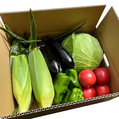 [ 8月下旬発送開始 ] 嬬恋キャベツ と旬の 高原 野菜 セット 1〜2人 様向け 旬の野菜 先行予約 キャベツ 群馬 419 嬬恋キャベツ 産地直送 少量 詰め合わせ アソート [AK001tu]