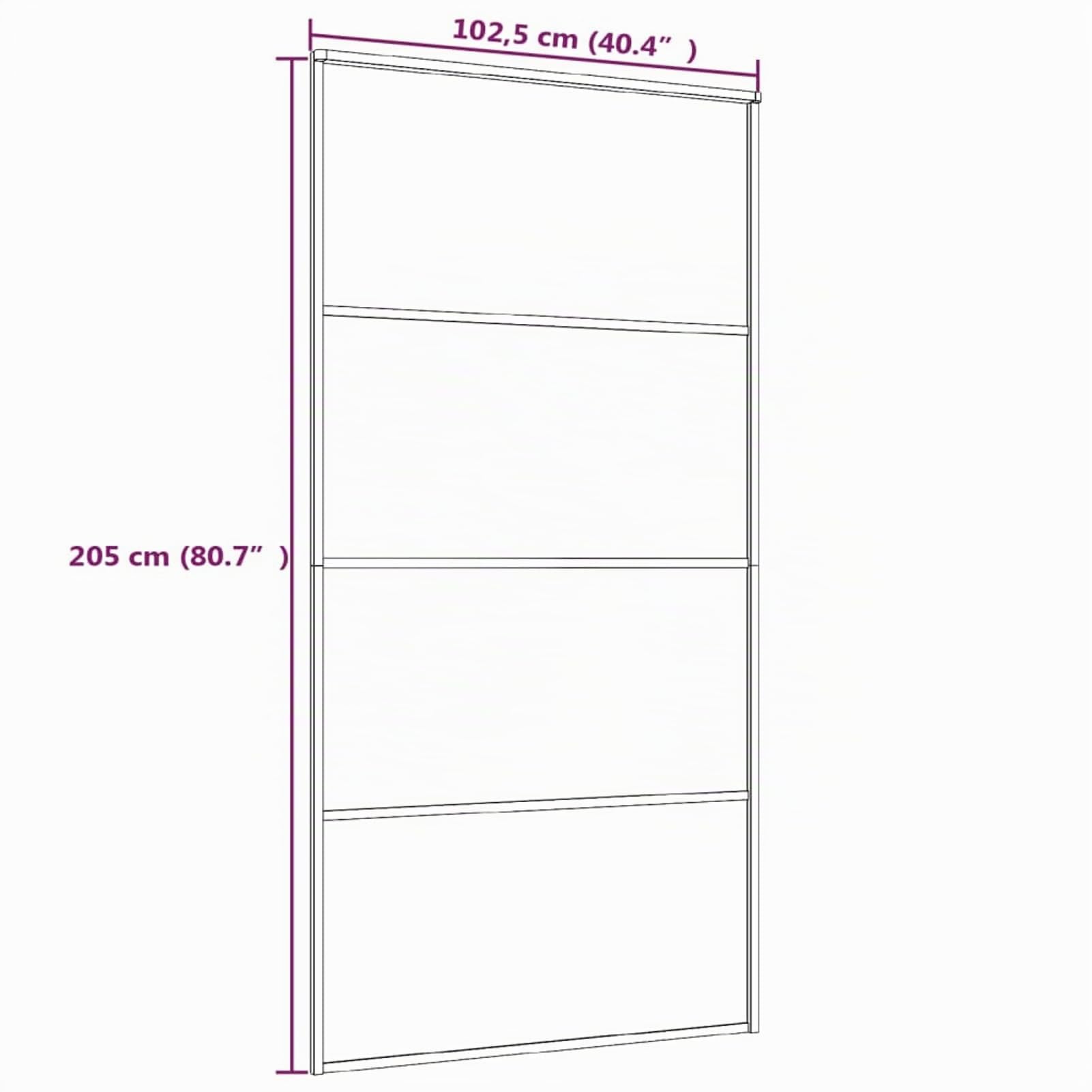 SECOLI Schiebetür Glas Schiebetür Komplettset mit Glastür - Schwarz Mattiert - 102.5 x 205 cm