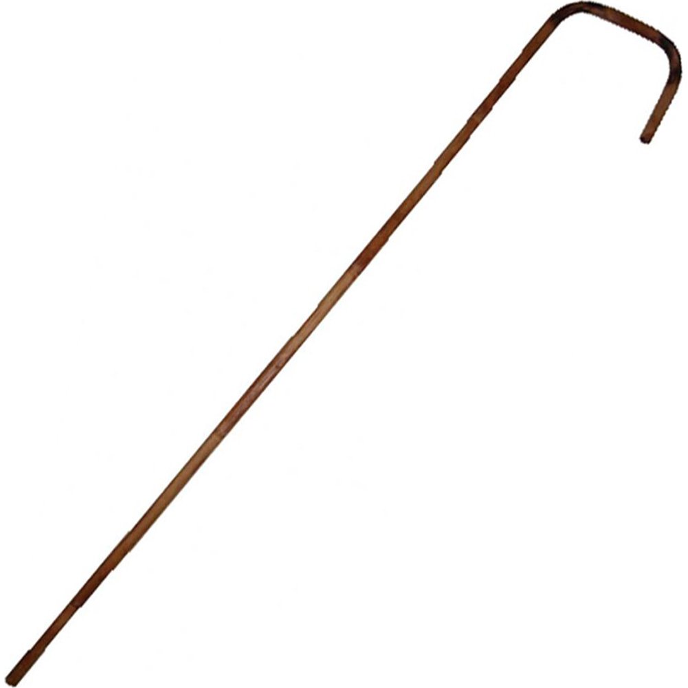 Bamboo Cane