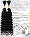 Deep Wave Bulk Braiding Hair-Wet and Wavy Human Braiding Hair,20 Inches 2 Bundles Natural Black,Soft Synthetic No Weft Bohemian Curl for DIY(20