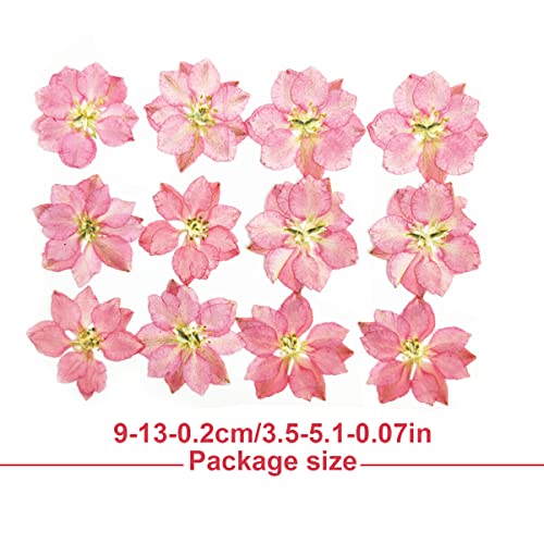 CUDDIKAJI 5 Flores prensadas Decoração Simulação Decoração Festiva Suprimentos Rosa escuro